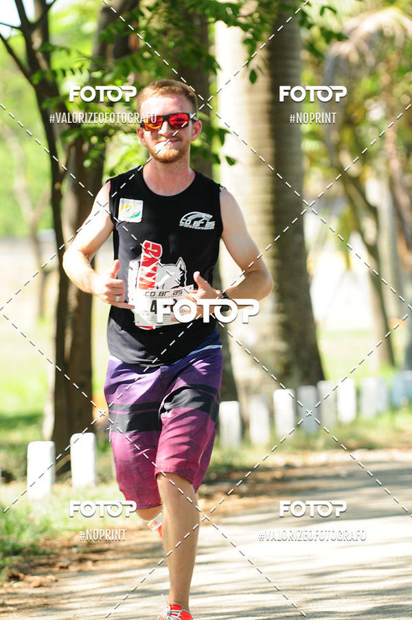 Achetez vos photos de l'vnementPIT BULL RUNNING sur Fotop