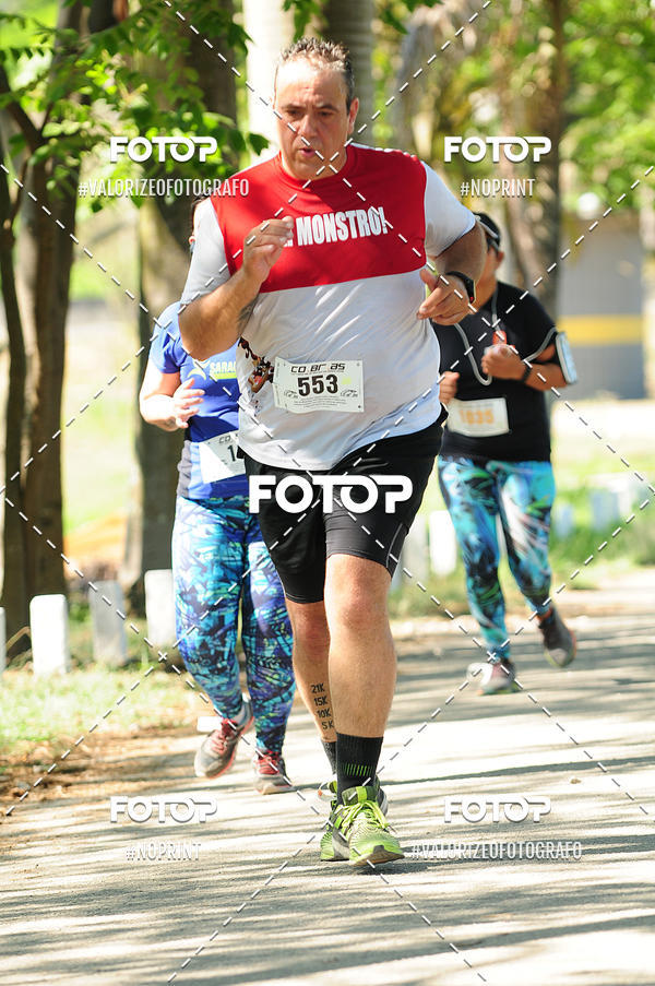 Achetez vos photos de l'vnementPIT BULL RUNNING sur Fotop