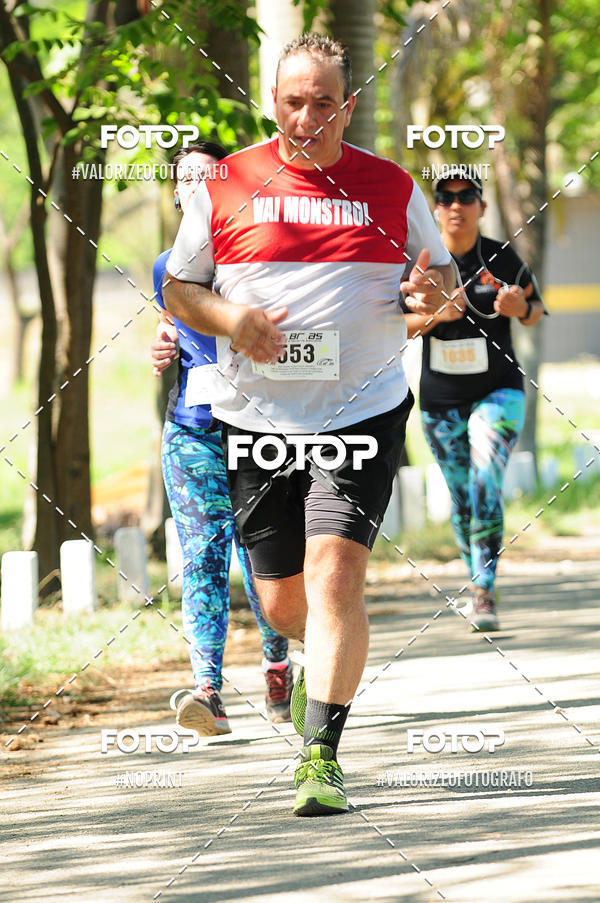 Achetez vos photos de l'vnementPIT BULL RUNNING sur Fotop