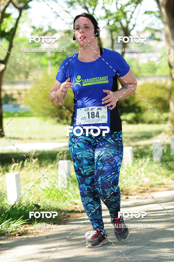 Achetez vos photos de l'vnementPIT BULL RUNNING sur Fotop