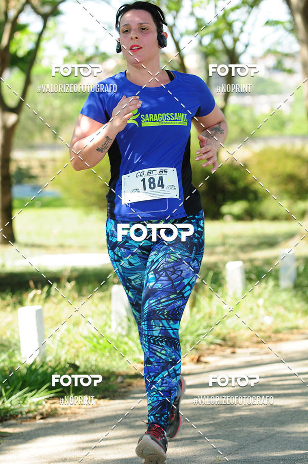 Achetez vos photos de l'vnementPIT BULL RUNNING sur Fotop