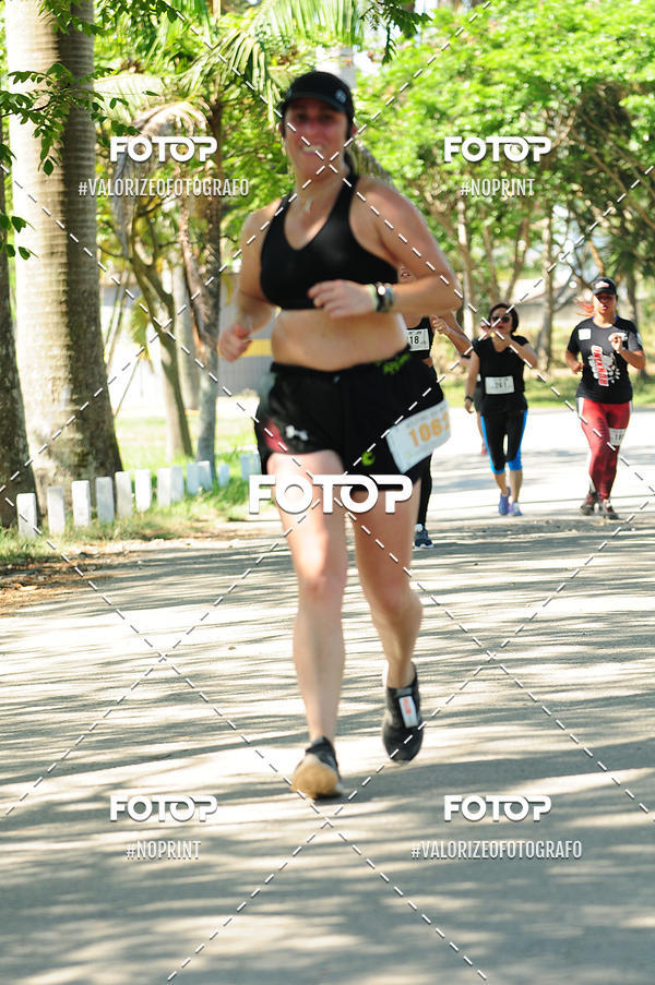 Achetez vos photos de l'vnementPIT BULL RUNNING sur Fotop