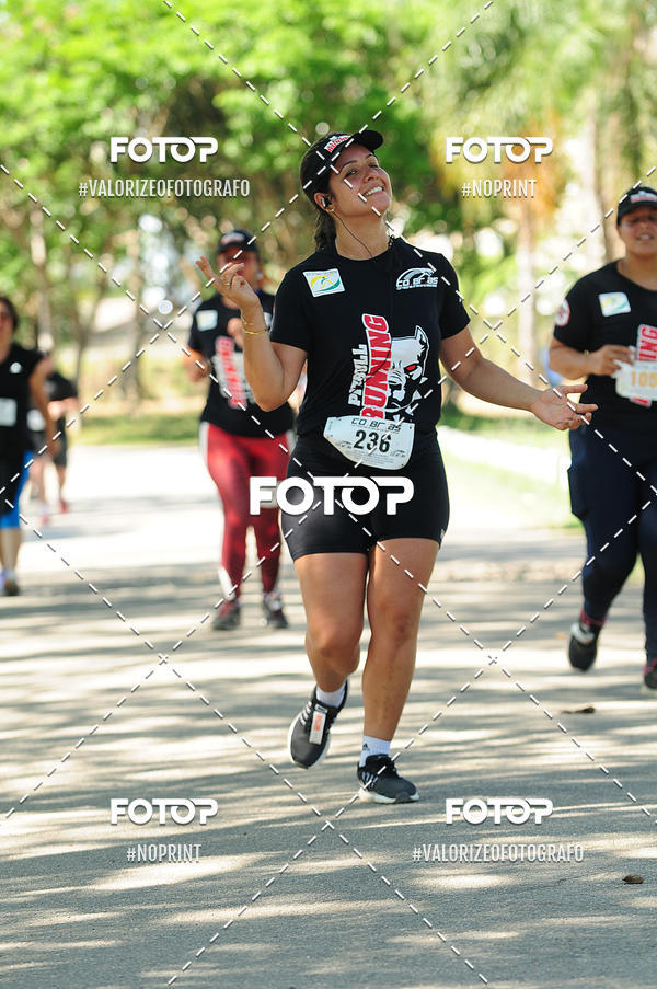 Achetez vos photos de l'vnementPIT BULL RUNNING sur Fotop