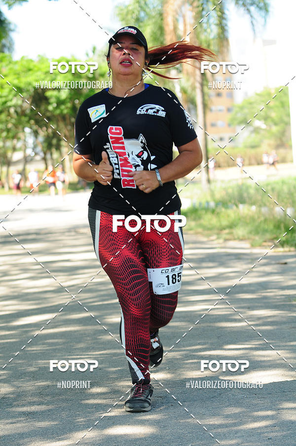 Achetez vos photos de l'vnementPIT BULL RUNNING sur Fotop