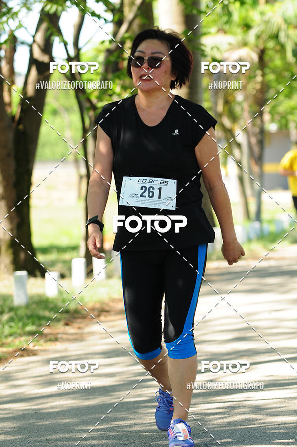 Achetez vos photos de l'vnementPIT BULL RUNNING sur Fotop