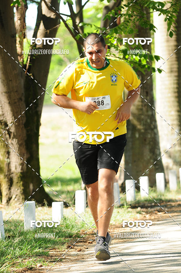 Compre as suas fotos do eventoPIT BULL RUNNING no Fotop