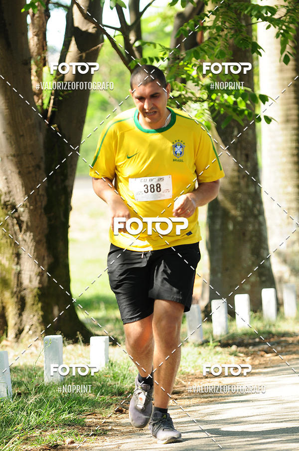 Compre as suas fotos do eventoPIT BULL RUNNING no Fotop