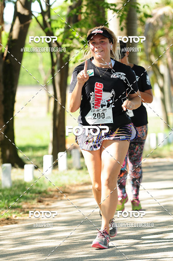 Compre as suas fotos do eventoPIT BULL RUNNING no Fotop