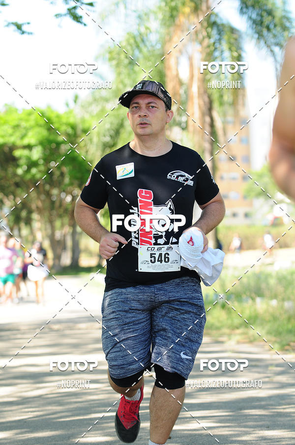 Compre as suas fotos do eventoPIT BULL RUNNING no Fotop