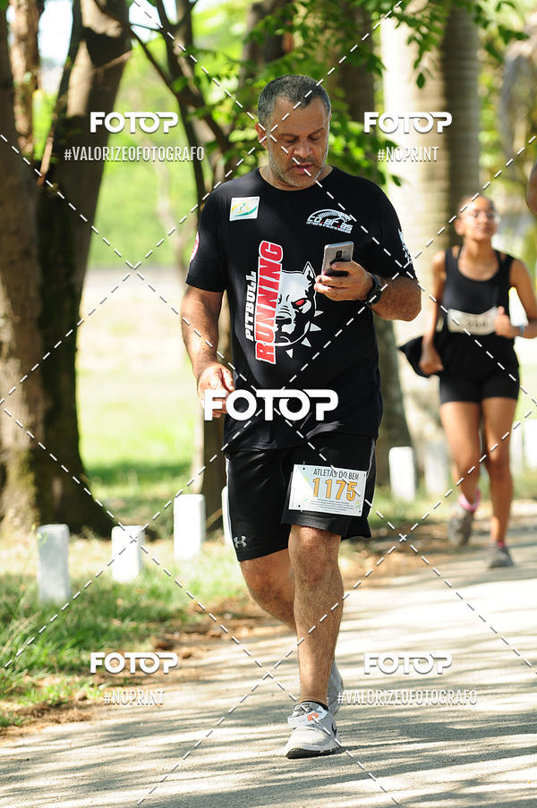 Compre as suas fotos do eventoPIT BULL RUNNING no Fotop