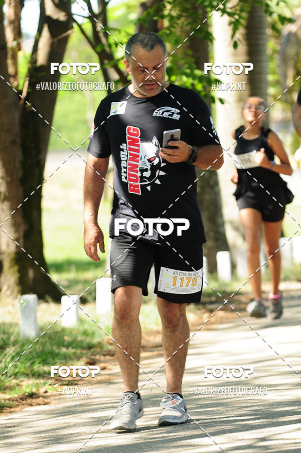 Acquista le foto dell'eventoPIT BULL RUNNING in Fotop