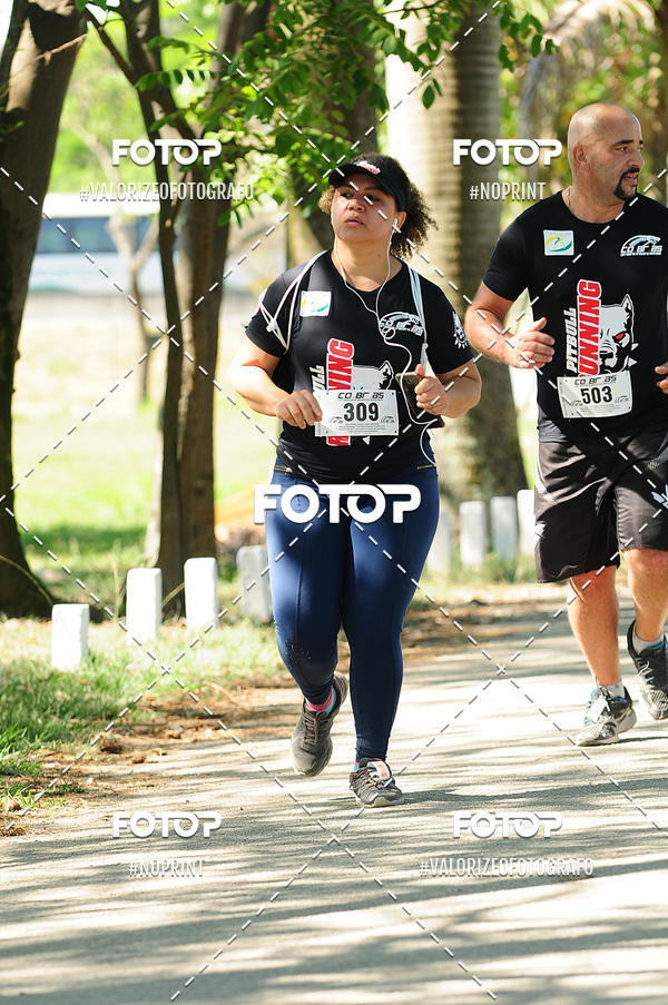 Acquista le foto dell'eventoPIT BULL RUNNING in Fotop