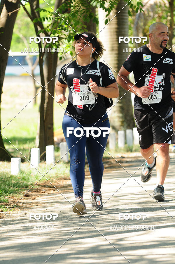 Acquista le foto dell'eventoPIT BULL RUNNING in Fotop