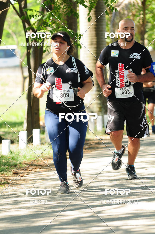 Acquista le foto dell'eventoPIT BULL RUNNING in Fotop