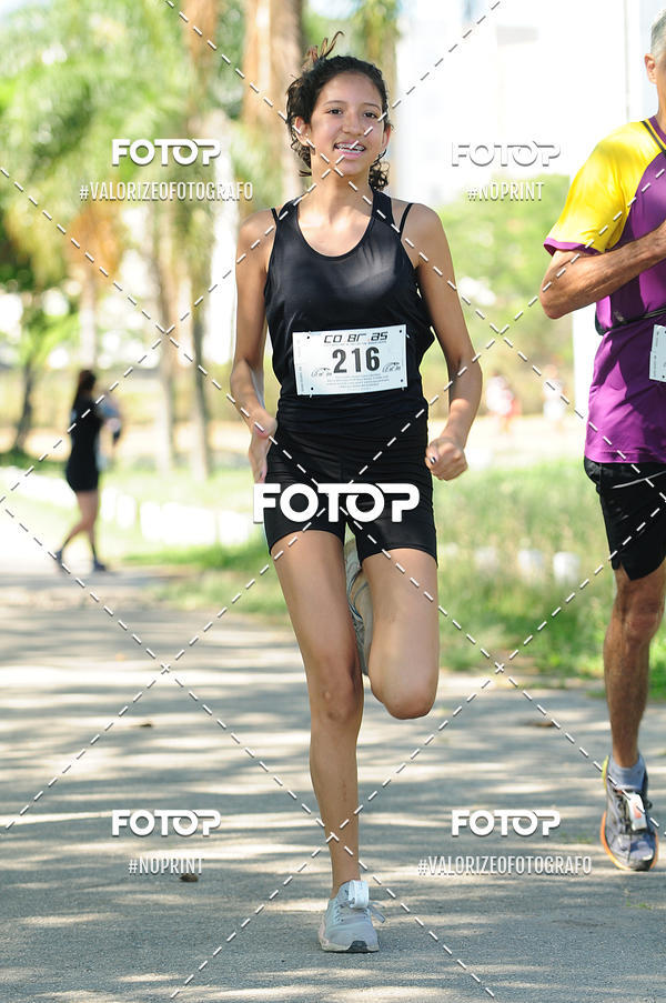 Acquista le foto dell'eventoPIT BULL RUNNING in Fotop