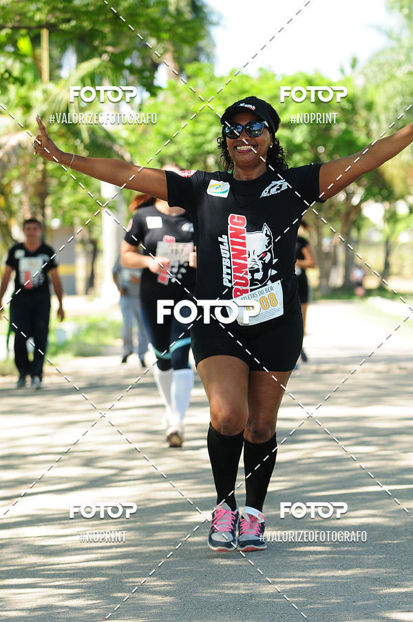 Acquista le foto dell'eventoPIT BULL RUNNING in Fotop