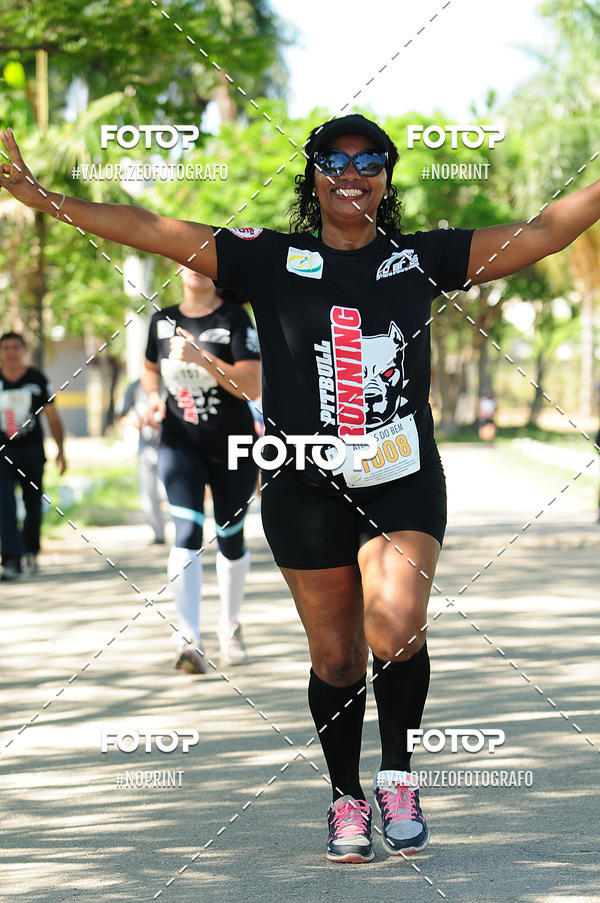 Acquista le foto dell'eventoPIT BULL RUNNING in Fotop