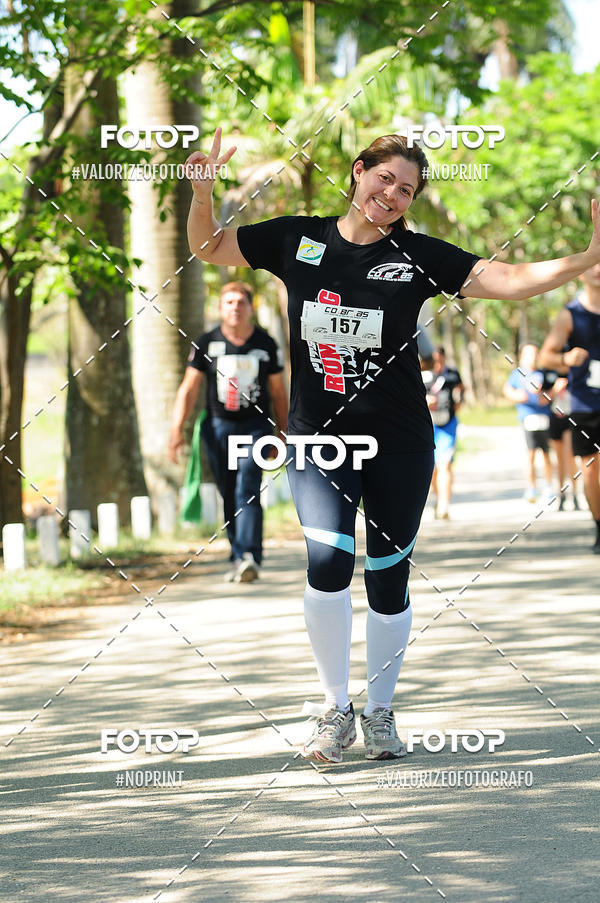 Acquista le foto dell'eventoPIT BULL RUNNING in Fotop