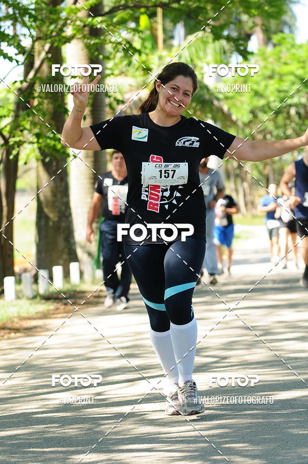 Acquista le foto dell'eventoPIT BULL RUNNING in Fotop