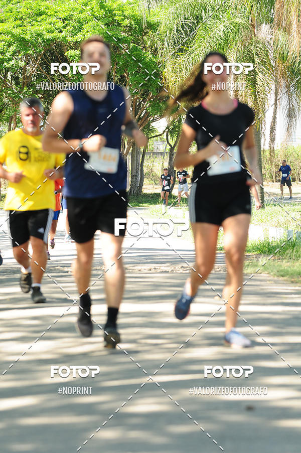 Acquista le foto dell'eventoPIT BULL RUNNING in Fotop