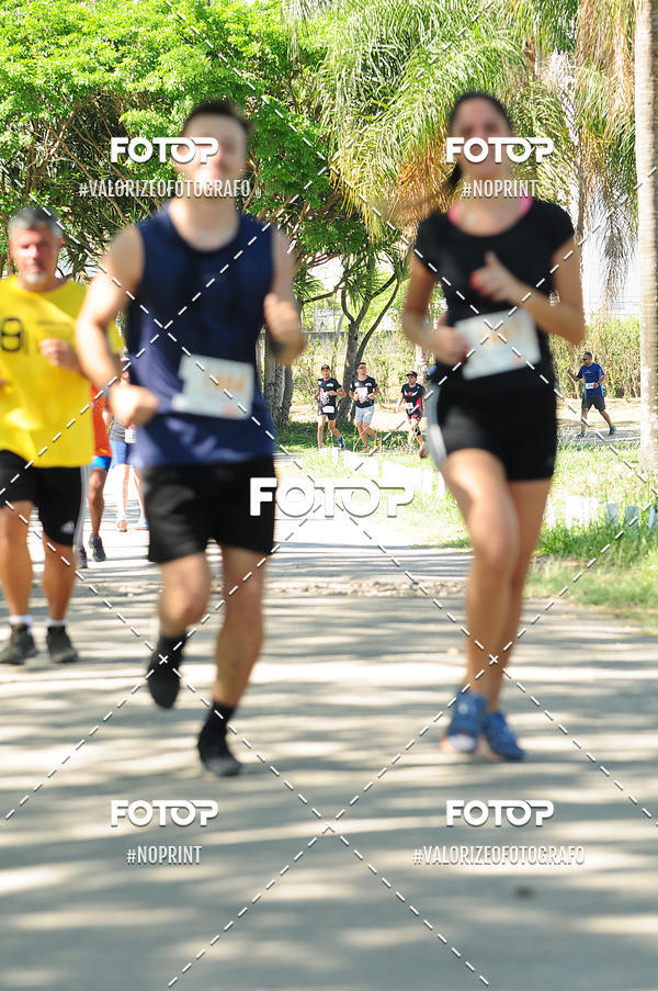 Acquista le foto dell'eventoPIT BULL RUNNING in Fotop