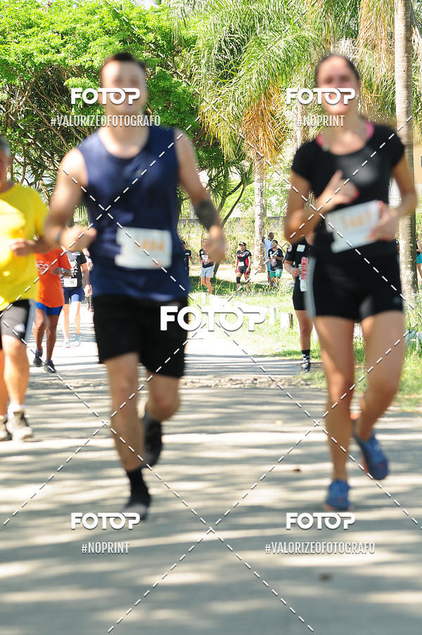 Acquista le foto dell'eventoPIT BULL RUNNING in Fotop