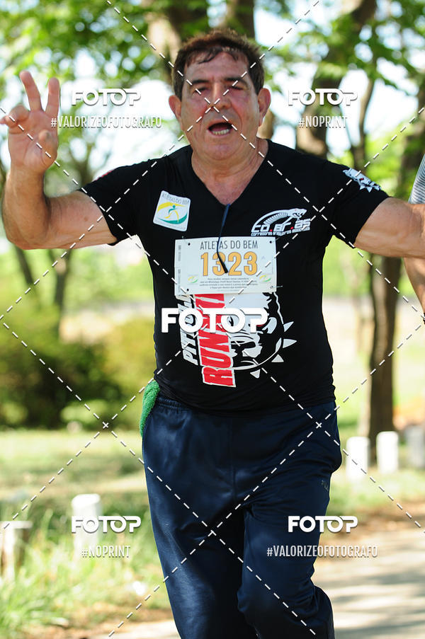 Acquista le foto dell'eventoPIT BULL RUNNING in Fotop