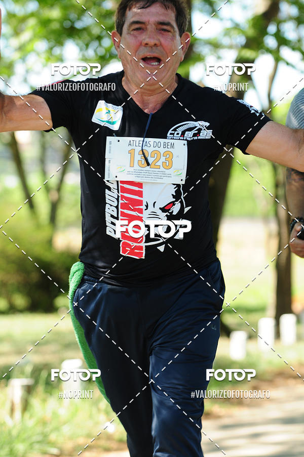 Acquista le foto dell'eventoPIT BULL RUNNING in Fotop