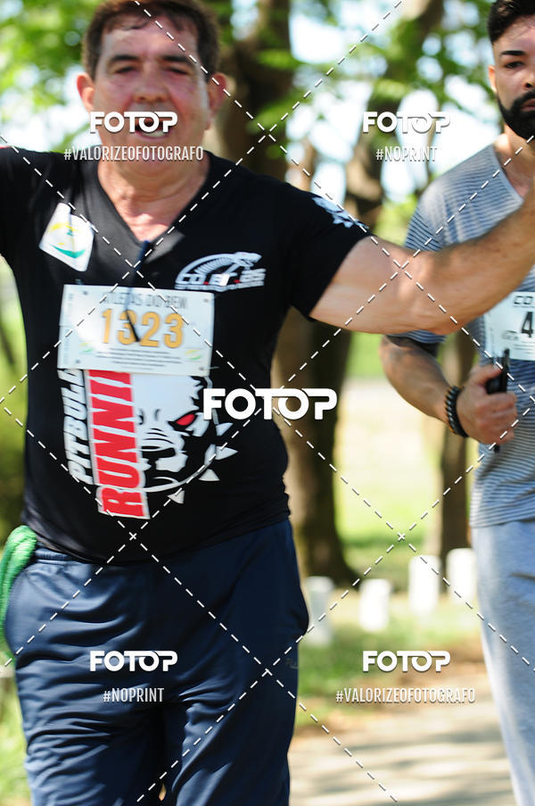 Acquista le foto dell'eventoPIT BULL RUNNING in Fotop