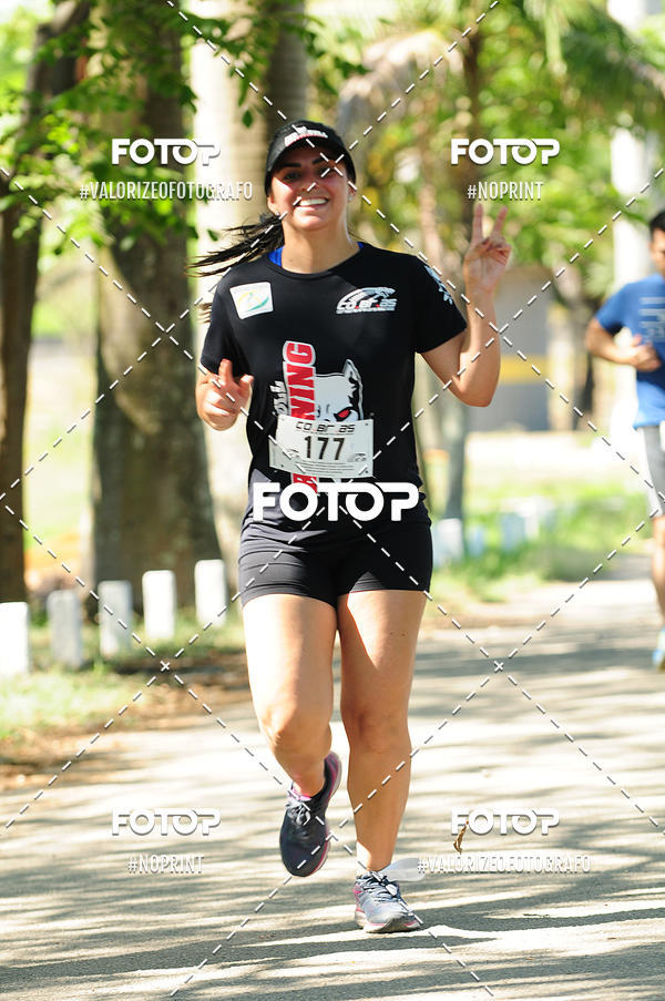 Acquista le foto dell'eventoPIT BULL RUNNING in Fotop