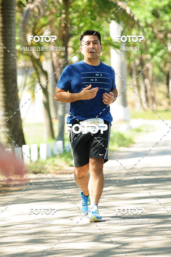 Acquista le foto dell'eventoPIT BULL RUNNING in Fotop