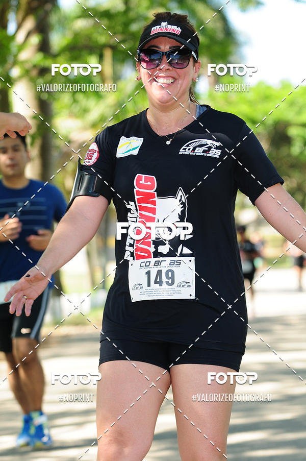 Acquista le foto dell'eventoPIT BULL RUNNING in Fotop