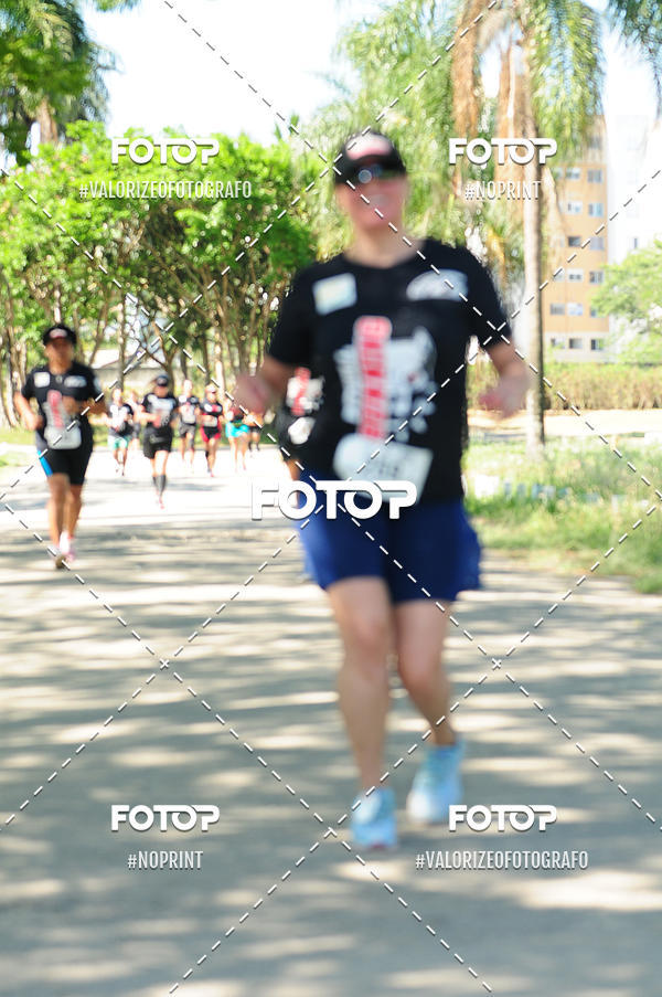 Acquista le foto dell'eventoPIT BULL RUNNING in Fotop