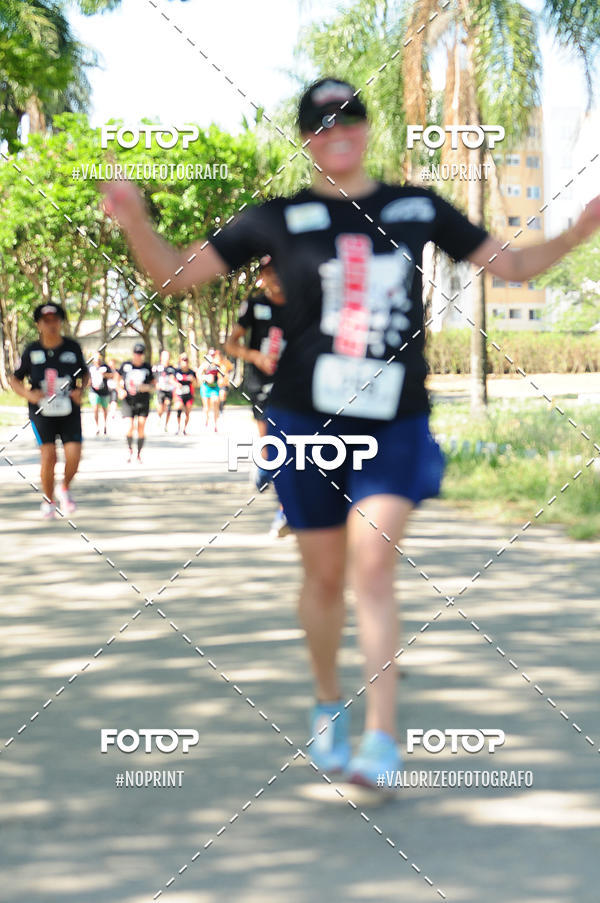 Acquista le foto dell'eventoPIT BULL RUNNING in Fotop