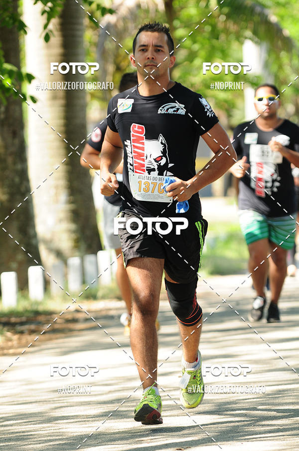 Compra tus fotos del eventoPIT BULL RUNNING En Fotop