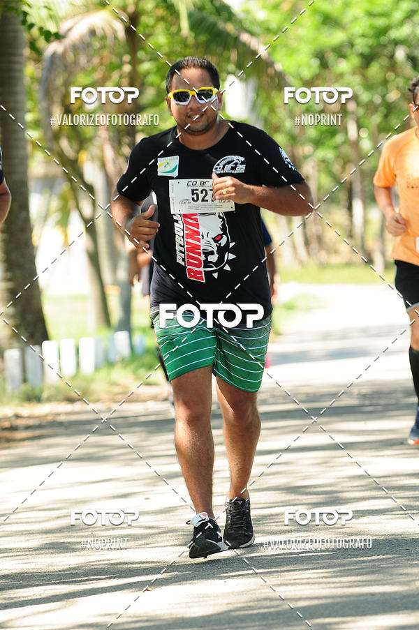 Compra tus fotos del eventoPIT BULL RUNNING En Fotop