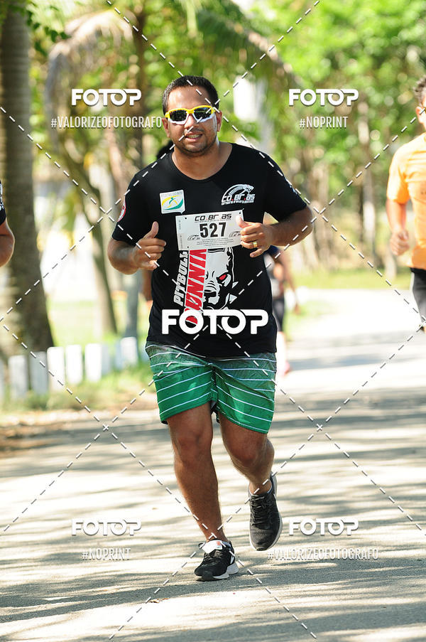 Compra tus fotos del eventoPIT BULL RUNNING En Fotop