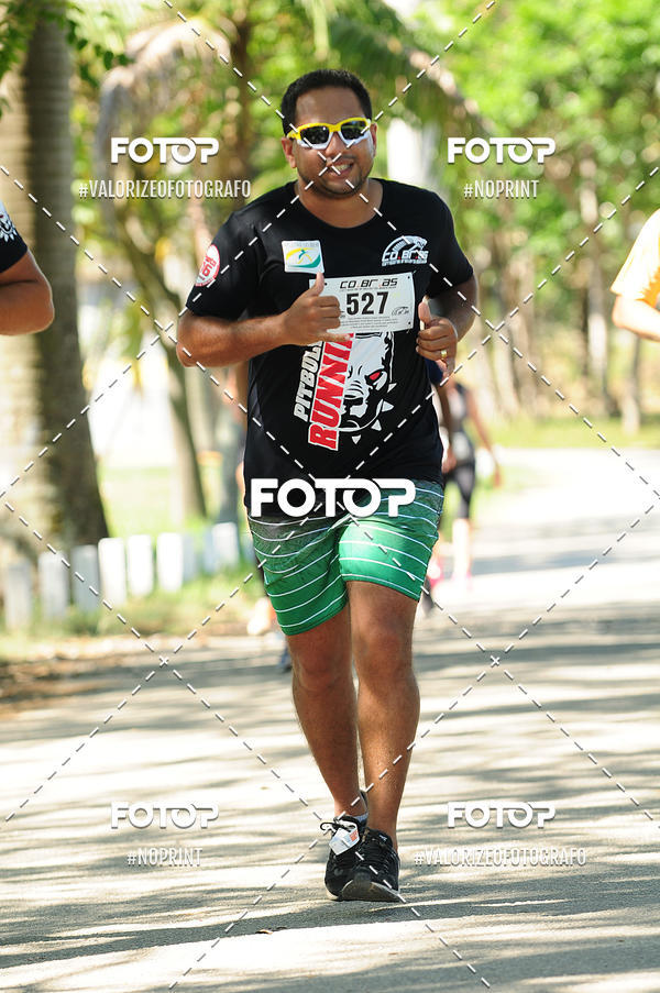 Compra tus fotos del eventoPIT BULL RUNNING En Fotop