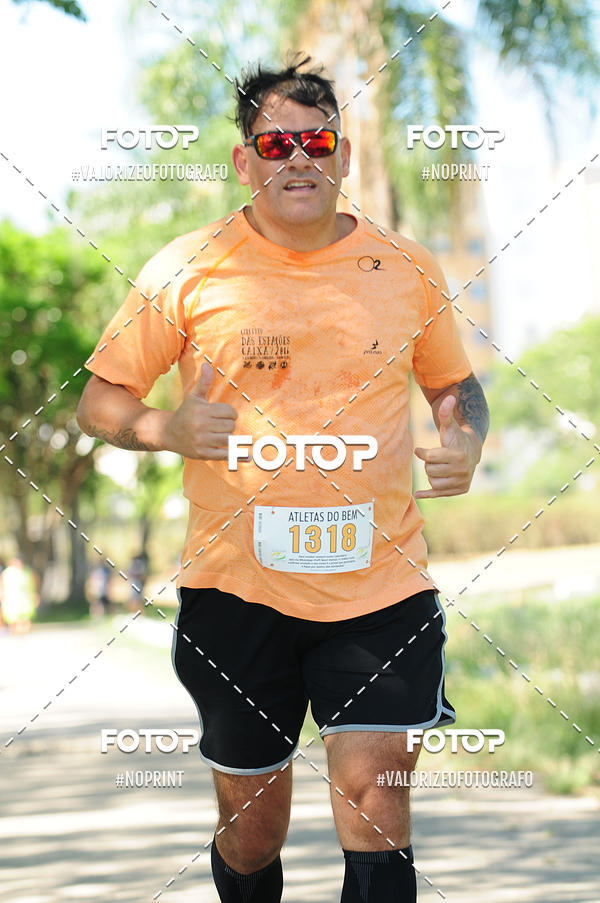 Compra tus fotos del eventoPIT BULL RUNNING En Fotop