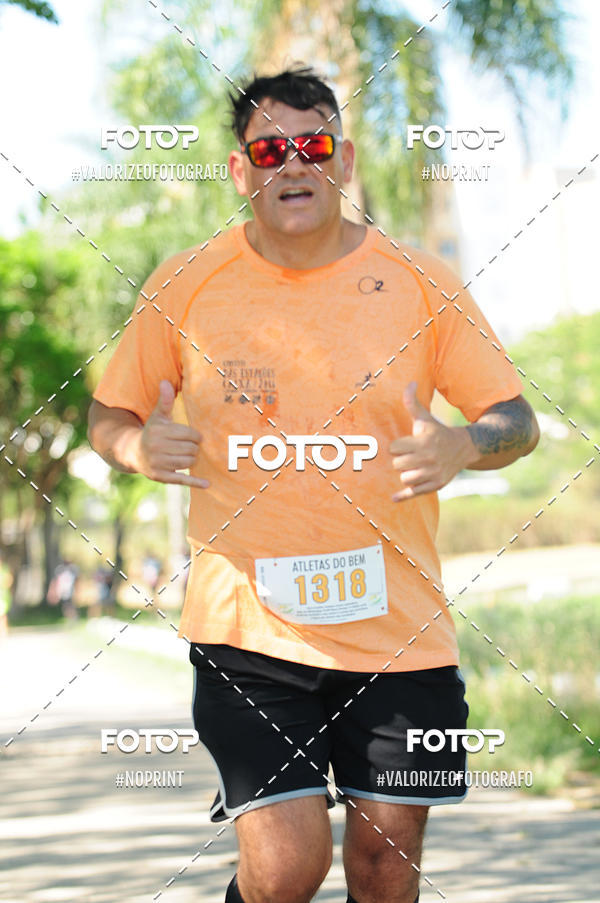 Compra tus fotos del eventoPIT BULL RUNNING En Fotop