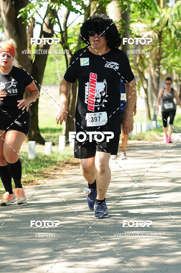 Compra tus fotos del eventoPIT BULL RUNNING En Fotop