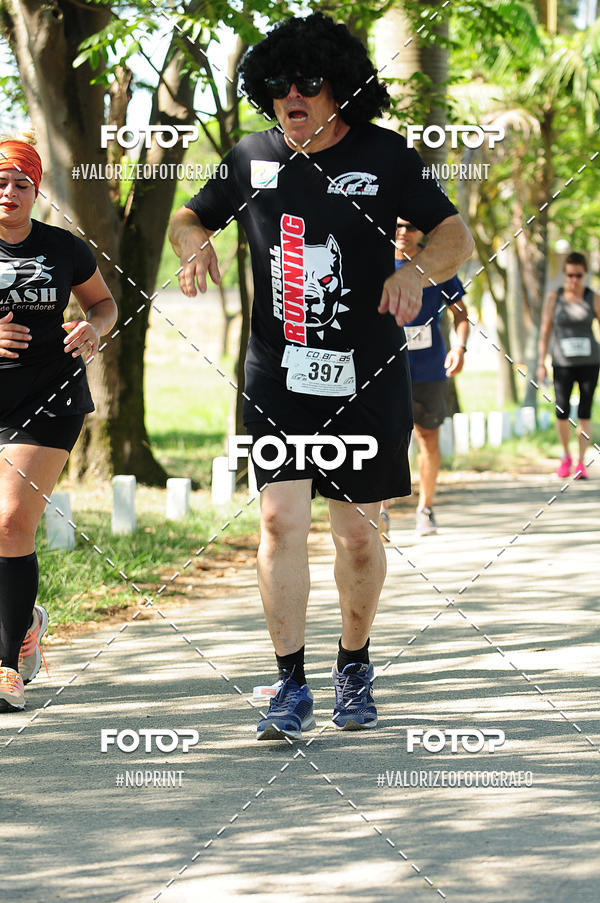 Compra tus fotos del eventoPIT BULL RUNNING En Fotop