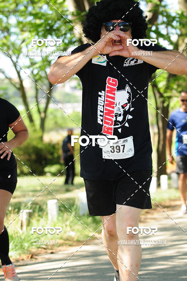 Compra tus fotos del eventoPIT BULL RUNNING En Fotop