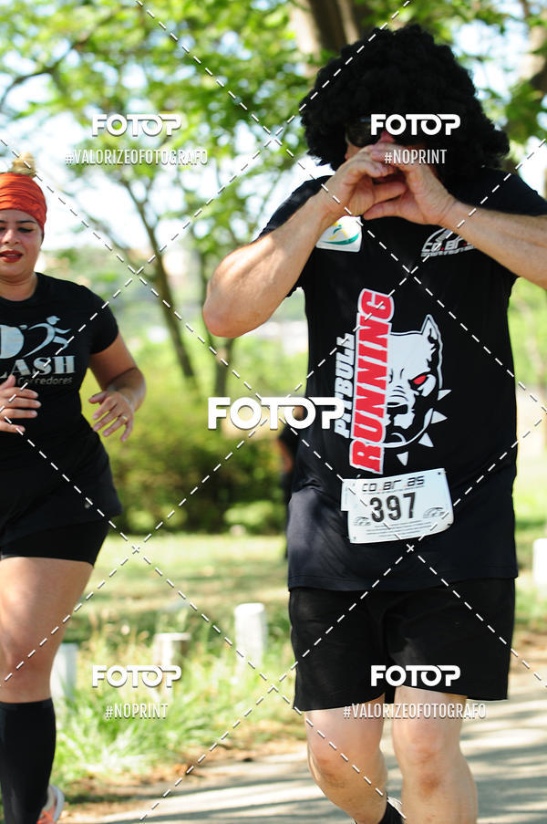 Compra tus fotos del eventoPIT BULL RUNNING En Fotop