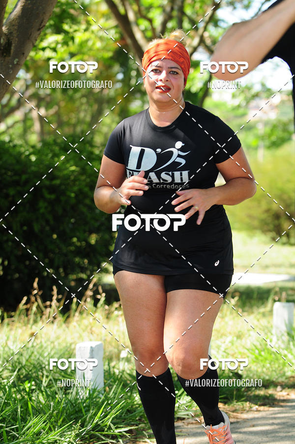 Compra tus fotos del eventoPIT BULL RUNNING En Fotop