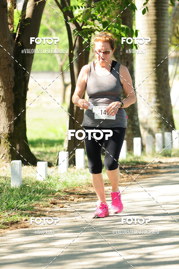 Compra tus fotos del eventoPIT BULL RUNNING En Fotop