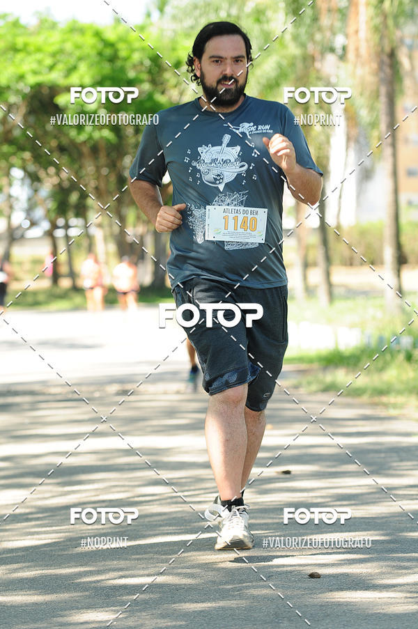 Compra tus fotos del eventoPIT BULL RUNNING En Fotop