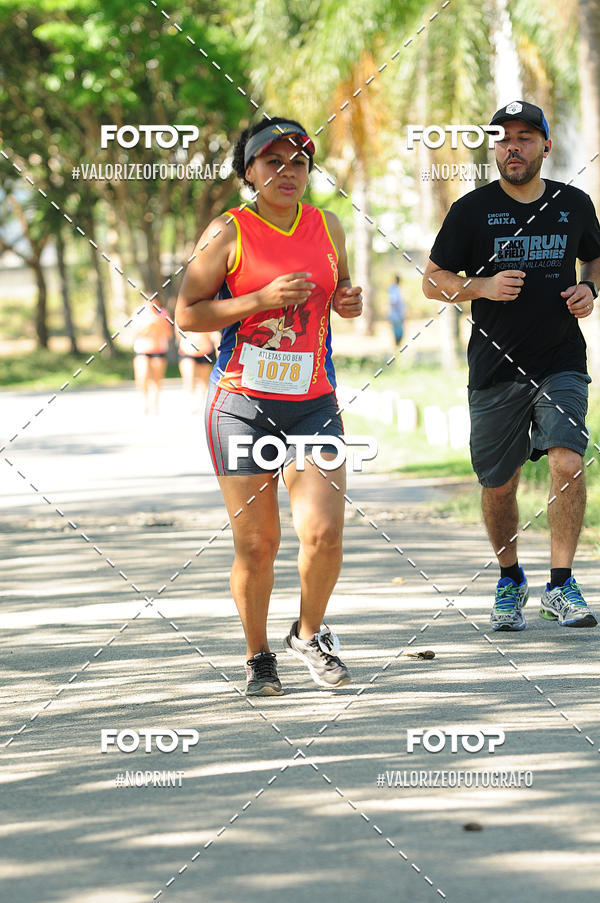 Compra tus fotos del eventoPIT BULL RUNNING En Fotop
