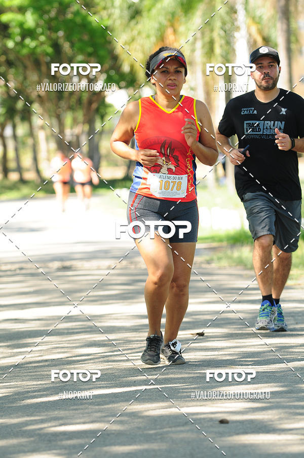 Compra tus fotos del eventoPIT BULL RUNNING En Fotop