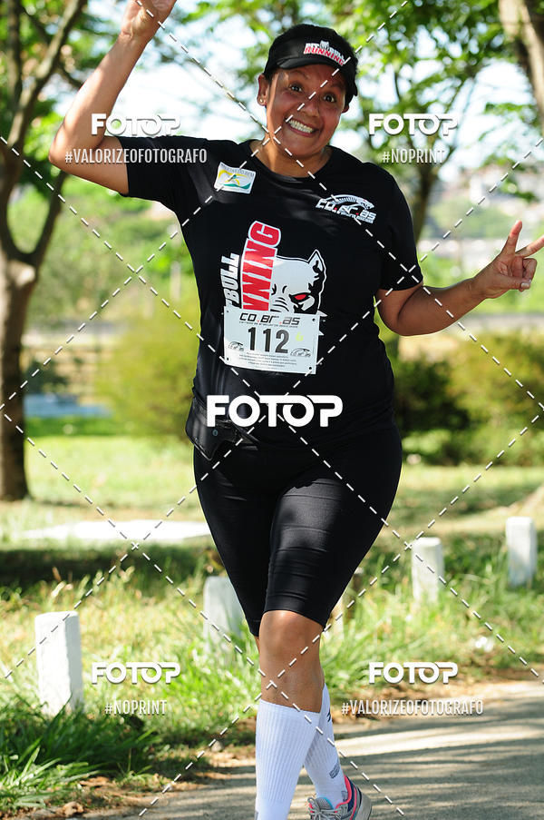 Compra tus fotos del eventoPIT BULL RUNNING En Fotop